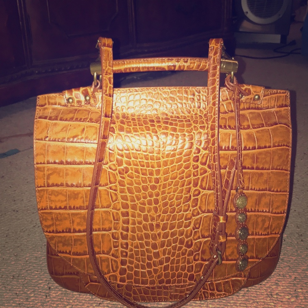 Etienne Aigner brown hobo